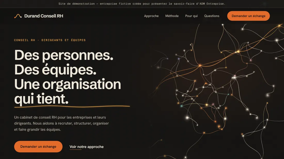 Première page du site de démonstration Durand Conseil RH : un réseau de lignes lumineuses sur fond sombre.
